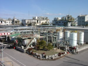 Handa Plant